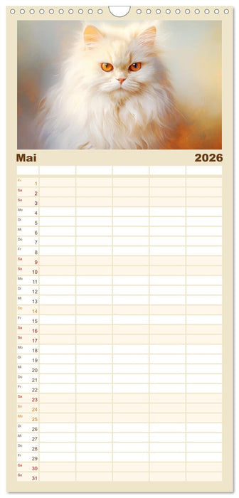 Katzen im Pastellstil (CALVENDO Familienplaner 2026)