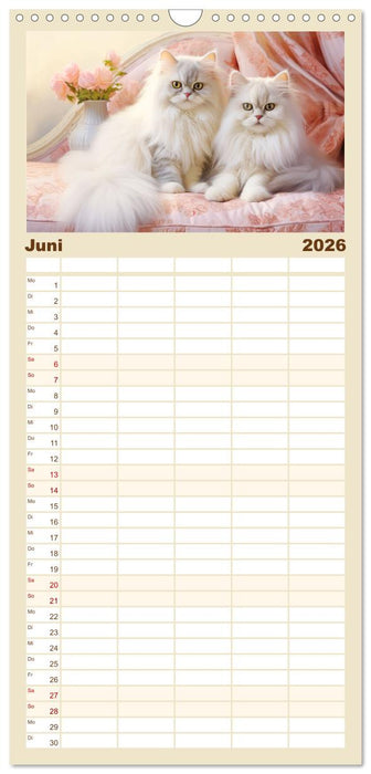 Katzen im Pastellstil (CALVENDO Familienplaner 2026)