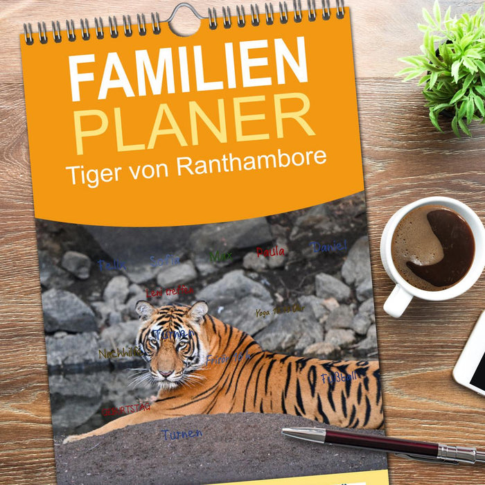 Tiger von Ranthambore (CALVENDO Familienplaner 2026)