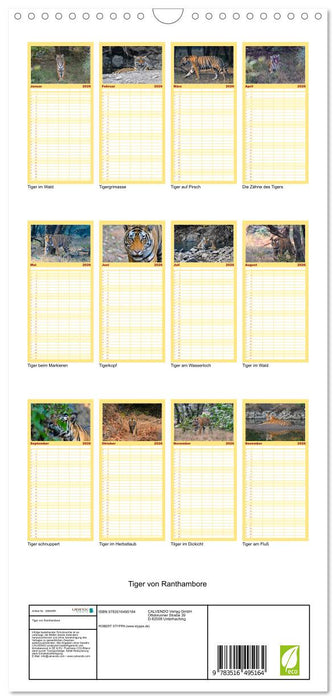 Tiger von Ranthambore (CALVENDO Familienplaner 2026)