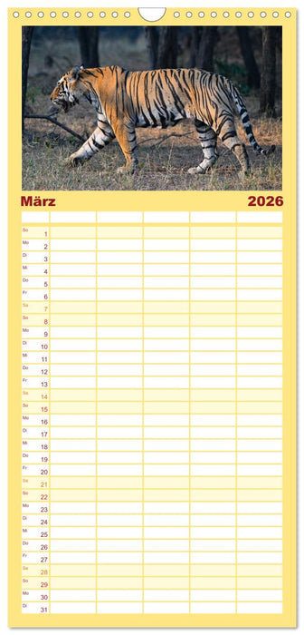 Tiger von Ranthambore (CALVENDO Familienplaner 2026)