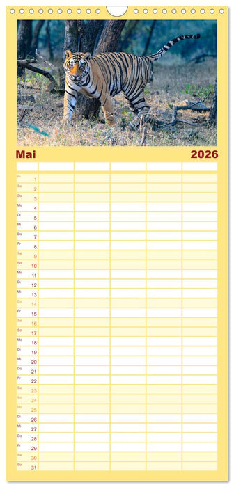 Tiger von Ranthambore (CALVENDO Familienplaner 2026)