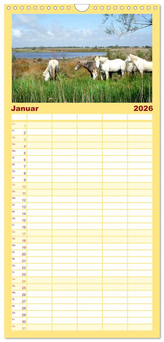 Provence. Licht und Lebensfreude (CALVENDO Familienplaner 2026)