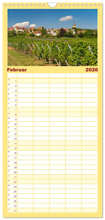 Die Elsässer Weinstraße (CALVENDO Familienplaner 2026)