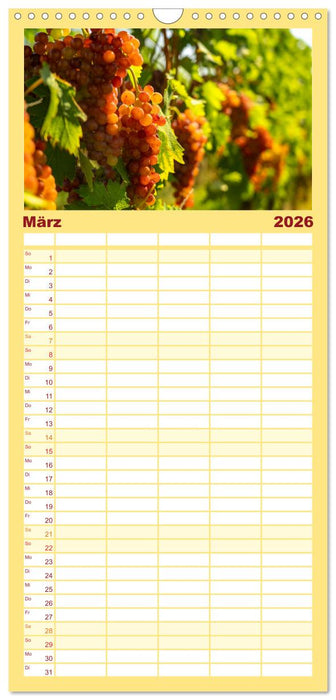 Die Elsässer Weinstraße (CALVENDO Familienplaner 2026)