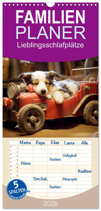 Lieblingsschlafplätze (CALVENDO Familienplaner 2026)