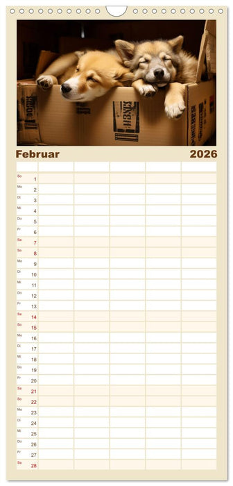 Lieblingsschlafplätze (CALVENDO Familienplaner 2026)