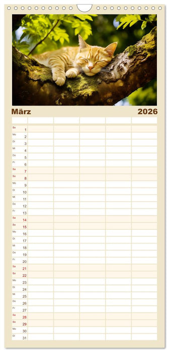 Lieblingsschlafplätze (CALVENDO Familienplaner 2026)