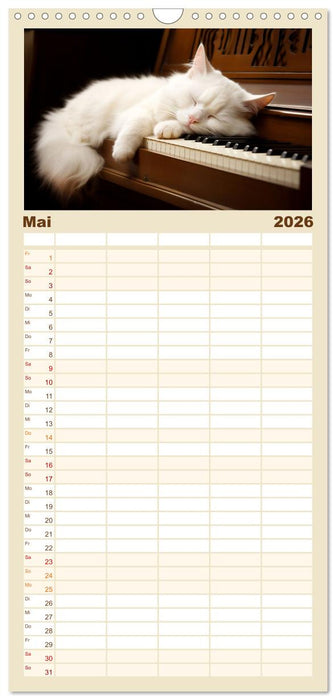 Lieblingsschlafplätze (CALVENDO Familienplaner 2026)