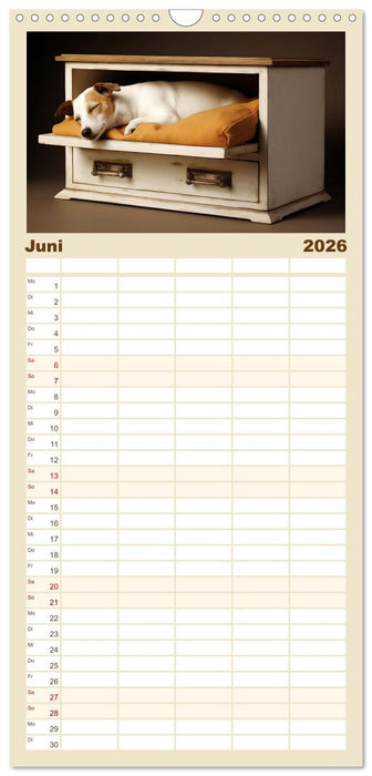 Lieblingsschlafplätze (CALVENDO Familienplaner 2026)