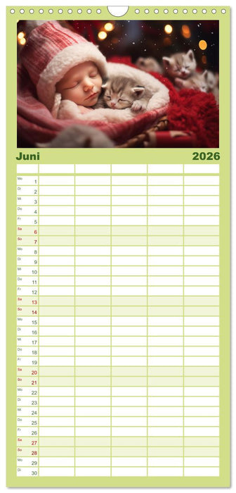 Kleine Schlummerparade: Babys und ihre kuscheligen Tierfreunde (CALVENDO Familienplaner 2026)