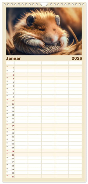 Traumhafte Ruhe - Ein Jahr mit süßen Schlafmützen (CALVENDO Familienplaner 2026)