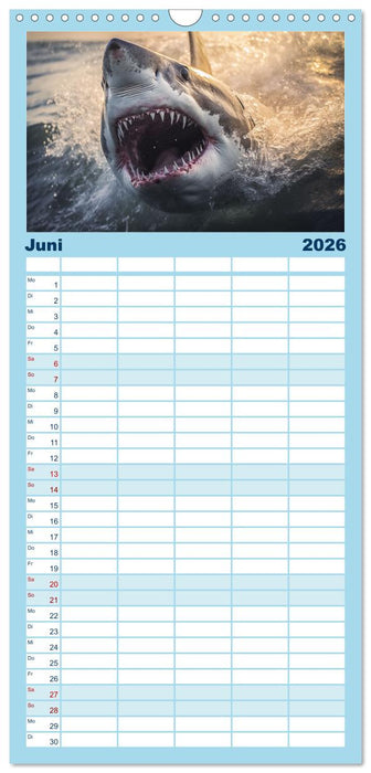 Stille Giganten - KI-generierte Hai-Impressionen (CALVENDO Familienplaner 2026)