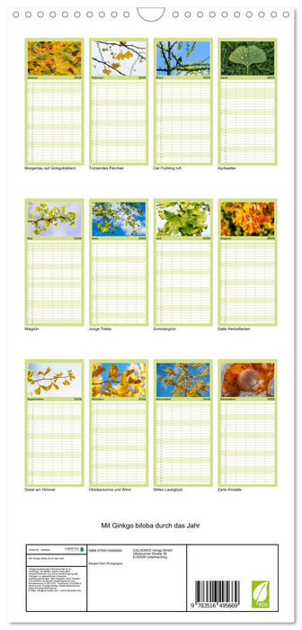 Mit Ginkgo biloba durch das Jahr (CALVENDO Familienplaner 2026)
