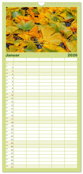 Mit Ginkgo biloba durch das Jahr (CALVENDO Familienplaner 2026)