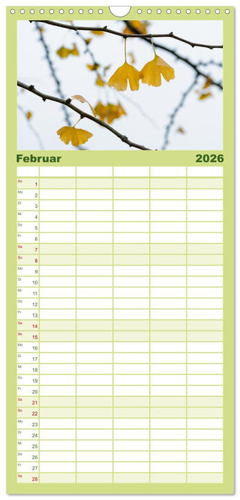 Mit Ginkgo biloba durch das Jahr (CALVENDO Familienplaner 2026)