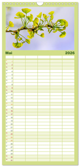 Mit Ginkgo biloba durch das Jahr (CALVENDO Familienplaner 2026)
