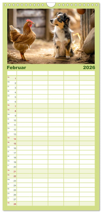 Bauernhof-Freunde - Hunde und ihre tierischen Freundschaften (CALVENDO Familienplaner 2026)