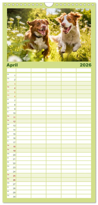 Bauernhof-Freunde - Hunde und ihre tierischen Freundschaften (CALVENDO Familienplaner 2026)