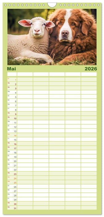 Bauernhof-Freunde - Hunde und ihre tierischen Freundschaften (CALVENDO Familienplaner 2026)