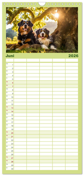 Bauernhof-Freunde - Hunde und ihre tierischen Freundschaften (CALVENDO Familienplaner 2026)