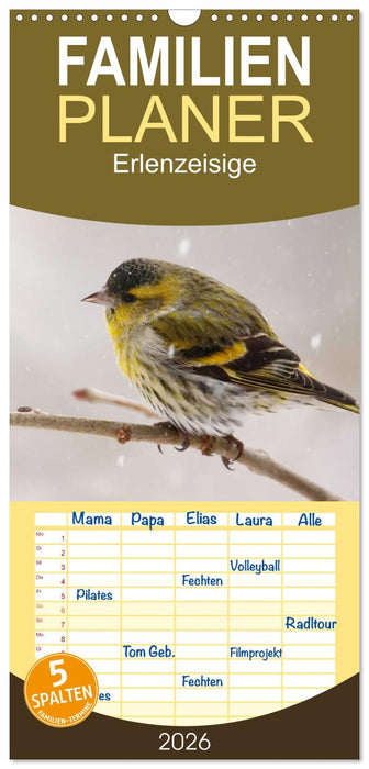 Erlenzeisige (CALVENDO Familienplaner 2026)