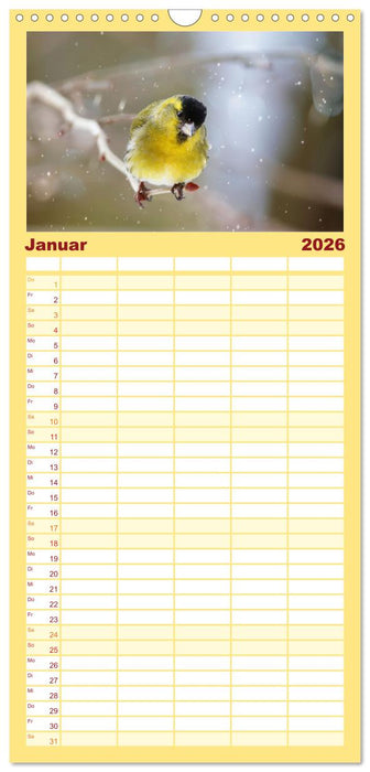 Erlenzeisige (CALVENDO Familienplaner 2026)