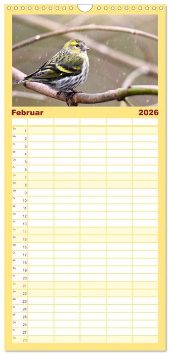 Erlenzeisige (CALVENDO Familienplaner 2026)