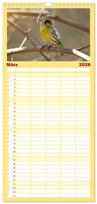 Erlenzeisige (CALVENDO Familienplaner 2026)