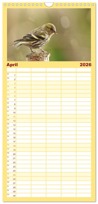 Erlenzeisige (CALVENDO Familienplaner 2026)