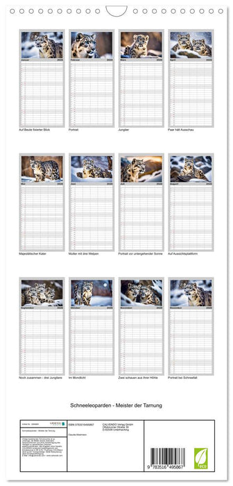 Schneeleoparden - Meister der Tarnung (CALVENDO Familienplaner 2026)