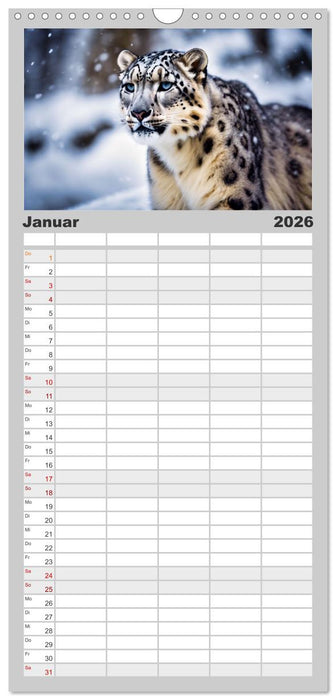 Schneeleoparden - Meister der Tarnung (CALVENDO Familienplaner 2026)