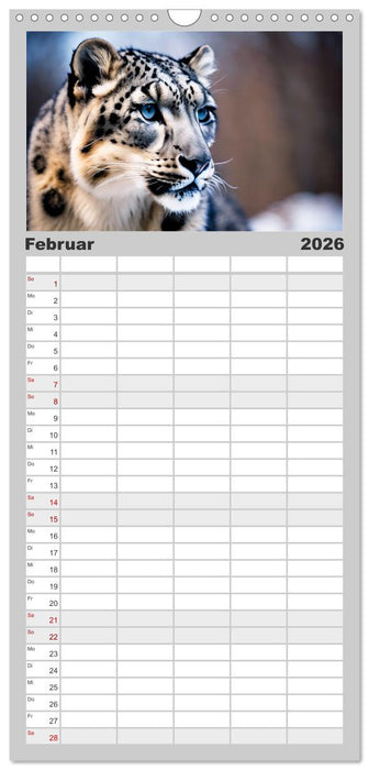 Schneeleoparden - Meister der Tarnung (CALVENDO Familienplaner 2026)