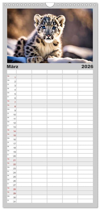 Schneeleoparden - Meister der Tarnung (CALVENDO Familienplaner 2026)