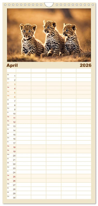 Gefleckte Jäger (CALVENDO Familienplaner 2026)