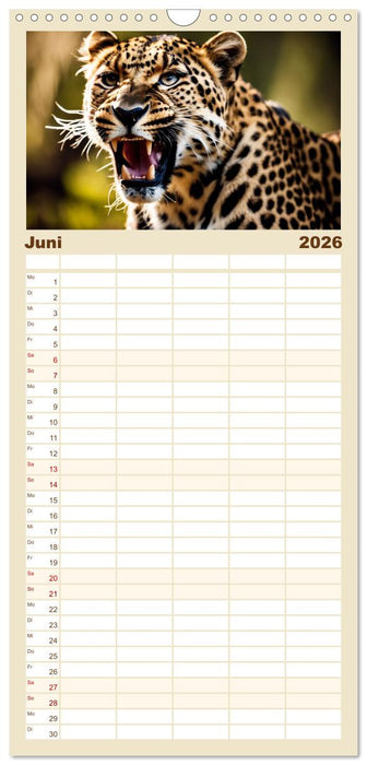 Gefleckte Jäger (CALVENDO Familienplaner 2026)