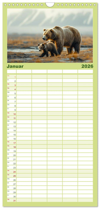 Wildes Bärenland (CALVENDO Familienplaner 2026)