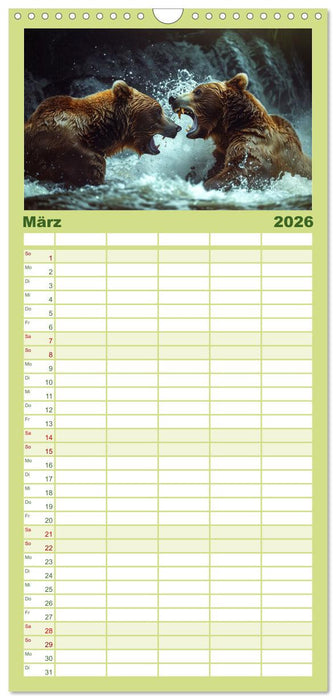 Wildes Bärenland (CALVENDO Familienplaner 2026)