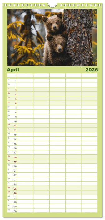 Wildes Bärenland (CALVENDO Familienplaner 2026)