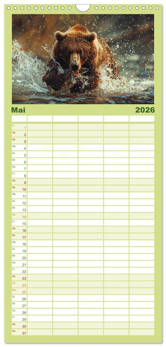 Wildes Bärenland (CALVENDO Familienplaner 2026)