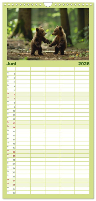 Wildes Bärenland (CALVENDO Familienplaner 2026)