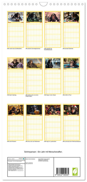 Schimpansen - Ein Jahr mit Menschenaffen. (CALVENDO Familienplaner 2026)