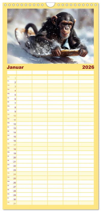 Schimpansen - Ein Jahr mit Menschenaffen. (CALVENDO Familienplaner 2026)