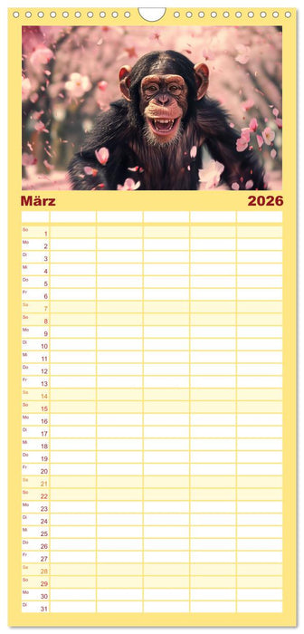 Schimpansen - Ein Jahr mit Menschenaffen. (CALVENDO Familienplaner 2026)
