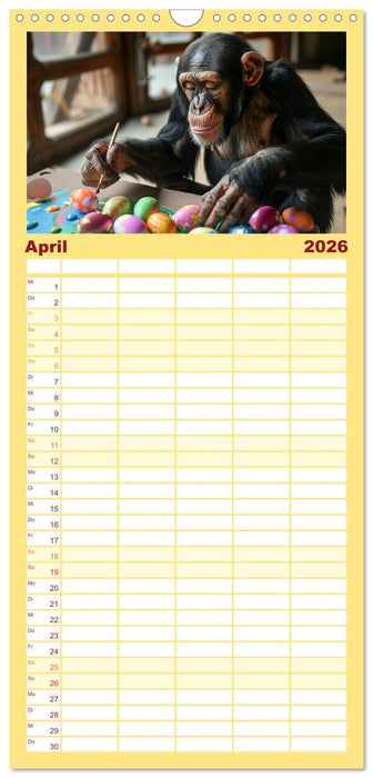 Schimpansen - Ein Jahr mit Menschenaffen. (CALVENDO Familienplaner 2026)