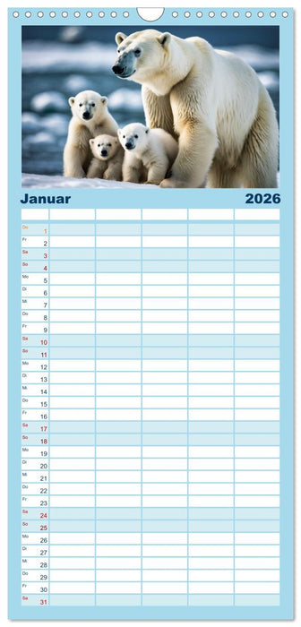 Eisbären im Fokus (CALVENDO Familienplaner 2026)