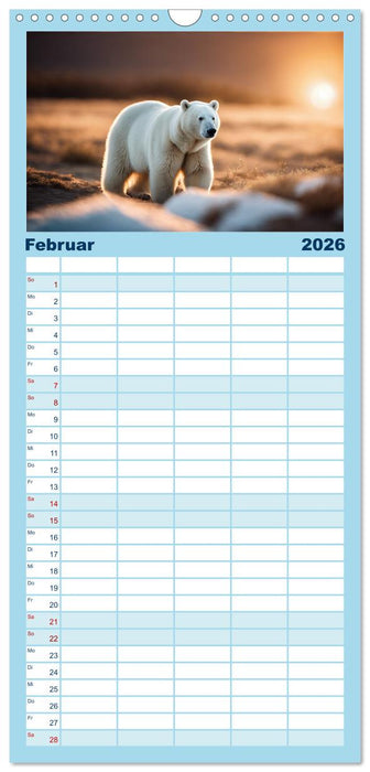 Eisbären im Fokus (CALVENDO Familienplaner 2026)