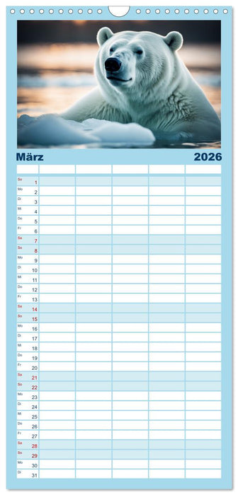 Eisbären im Fokus (CALVENDO Familienplaner 2026)