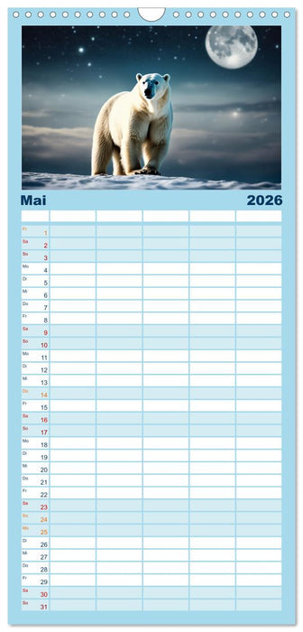 Eisbären im Fokus (CALVENDO Familienplaner 2026)