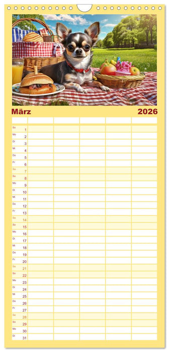 Chillige Chihuahuas - Entspannte Fellnasen genießen das Leben (CALVENDO Familienplaner 2026)